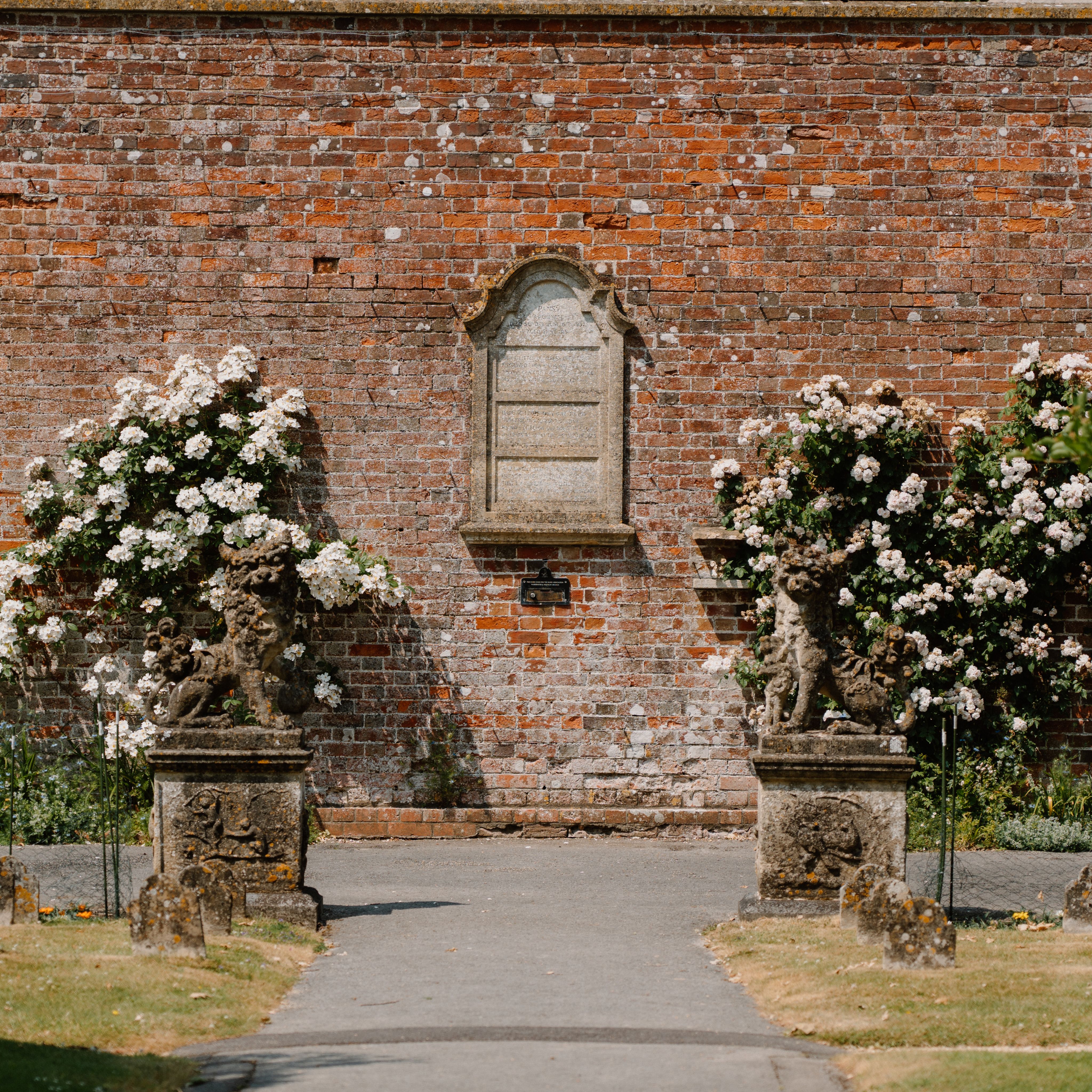 A garden wall with a climbing rose located in Longleat's garden.